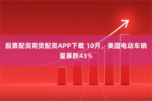 股票配资期货配资APP下载 10月，美国电动车销量暴跌43%