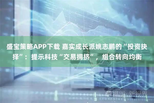 盛宝策略APP下载 嘉实成长派姚志鹏的“投资抉择”：提示科技“交易拥挤”，组合转向均衡