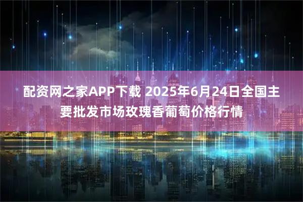 配资网之家APP下载 2025年6月24日全国主要批发市场玫瑰香葡萄价格行情