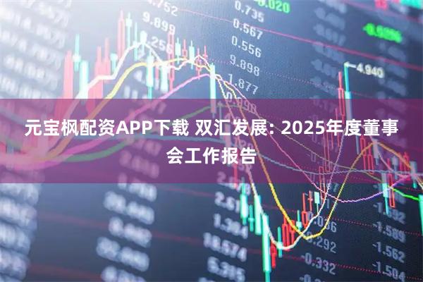 元宝枫配资APP下载 双汇发展: 2025年度董事会工作报告