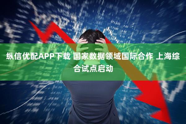 纵信优配APP下载 国家数据领域国际合作 上海综合试点启动